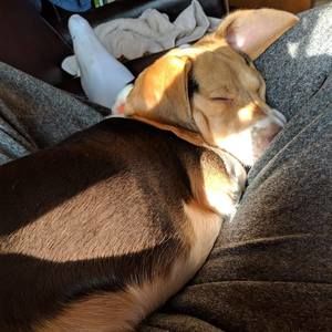 Meet your Posher, Scott